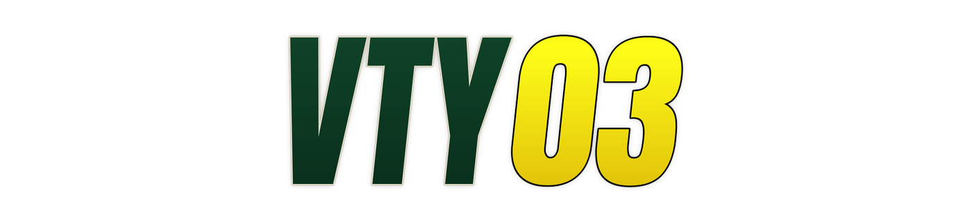 vty03